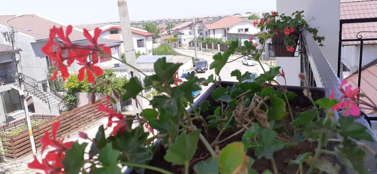 Sunshine Apartments Navodari Bagian luar foto